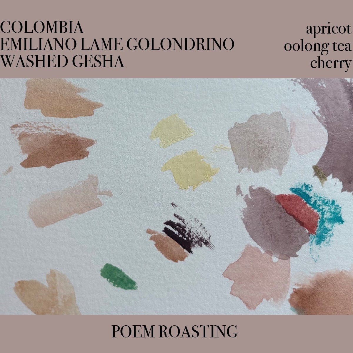 Colombia Emiliano Golondrino Gesha