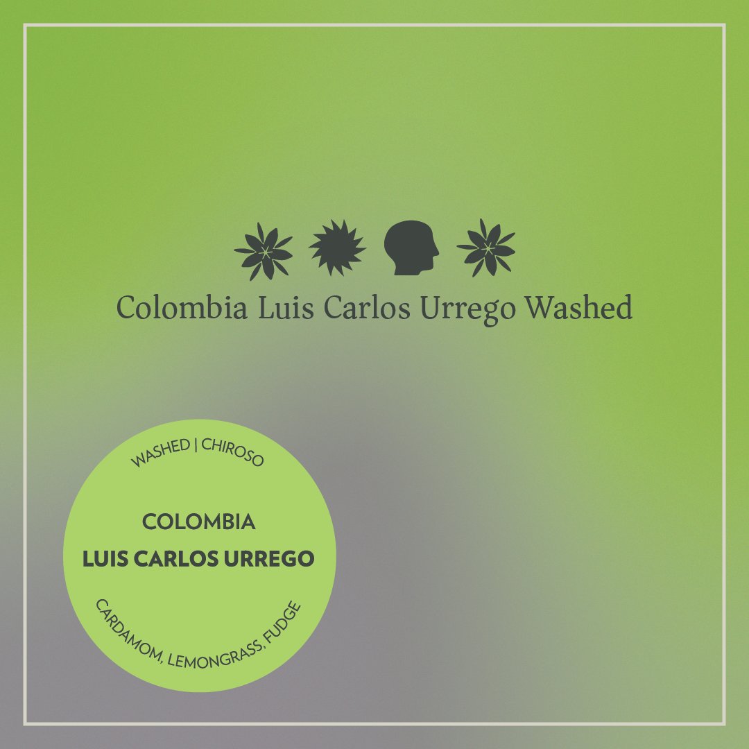 Colombia - Luis Carlos Urrego - Washed Chiroso