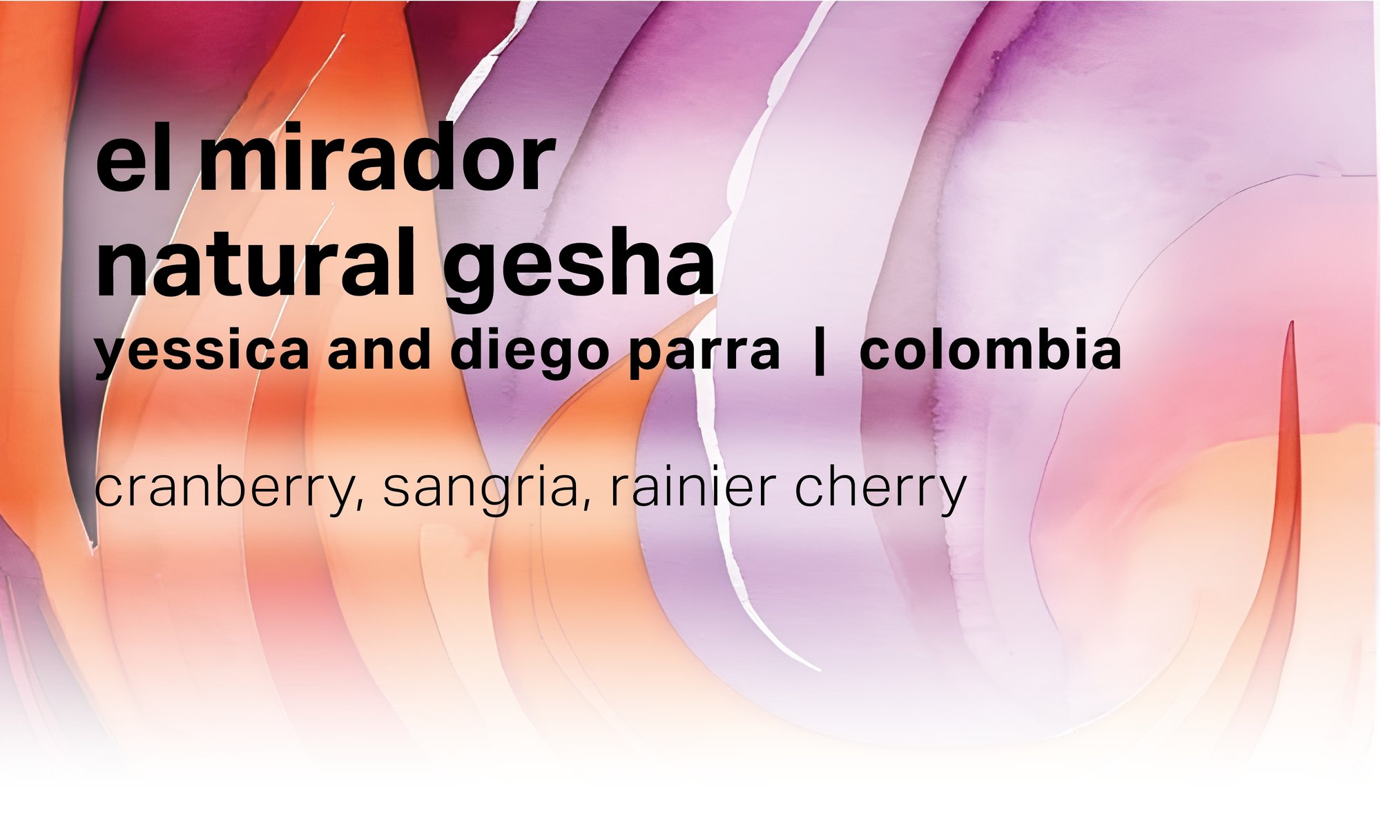 El Mirador Yessica and Diego Parra - Natural Gesha - Colombia