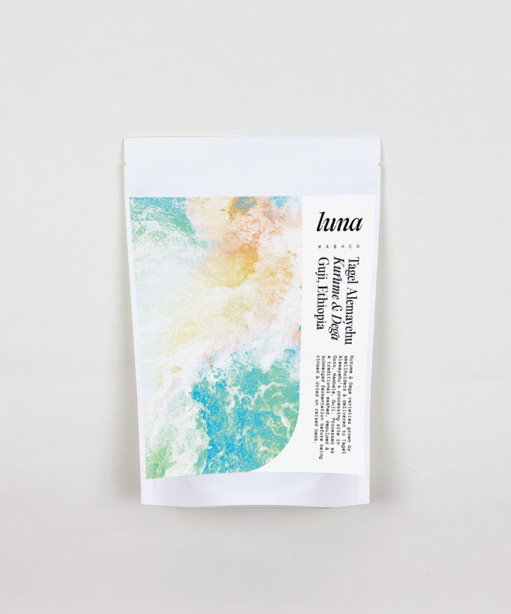 Tagel Alemayehu ~ Washed Process | Guji, Ethiopia (July 2025)