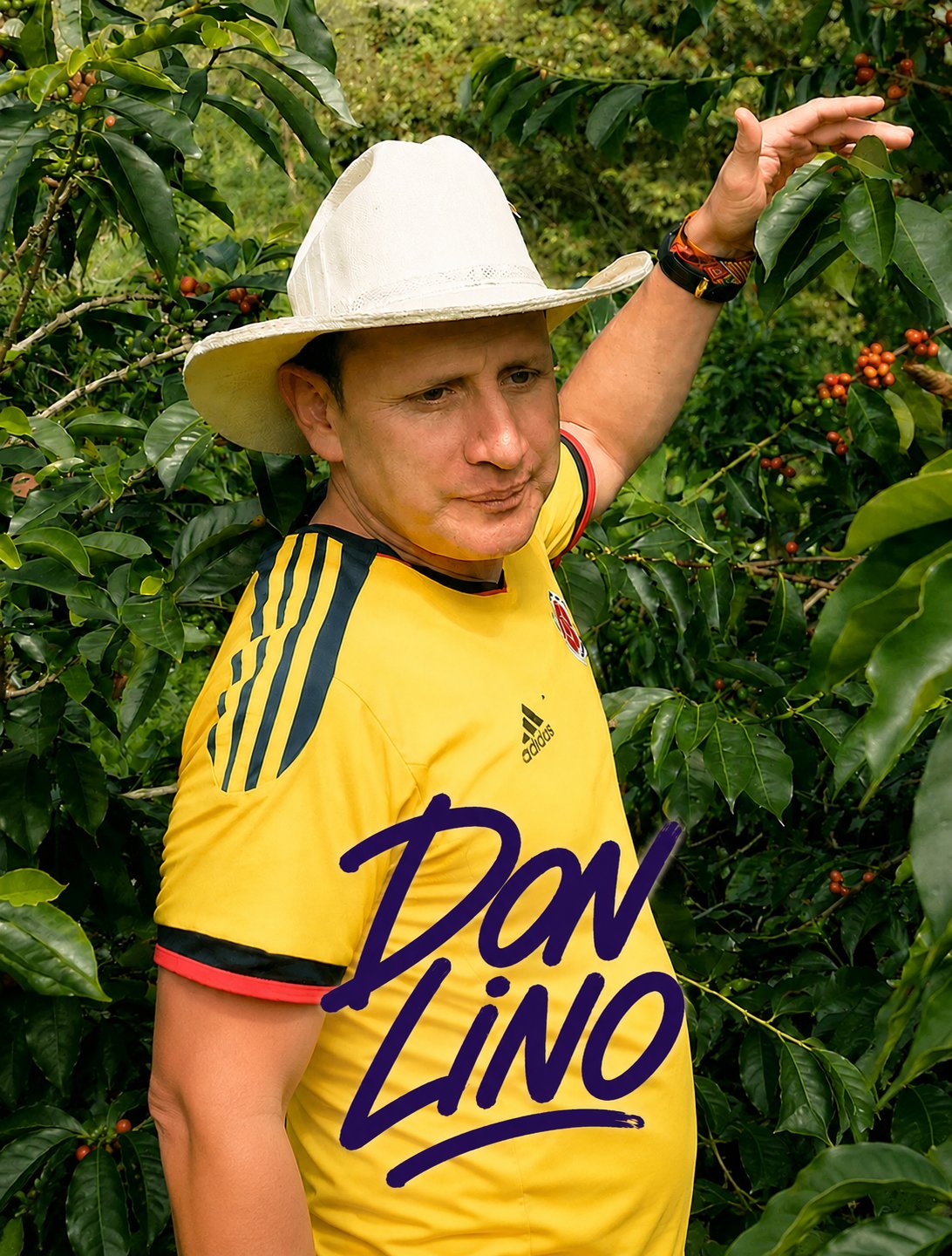 Don Lino · Kolumbien · SL28 · Washed