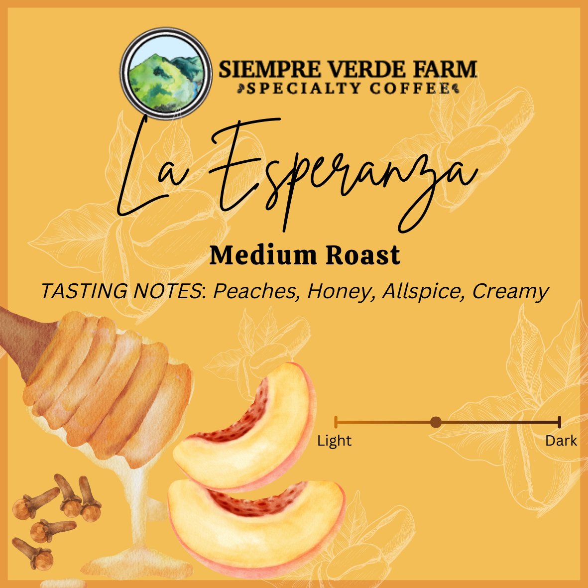 La Esperanza - Medium Roast