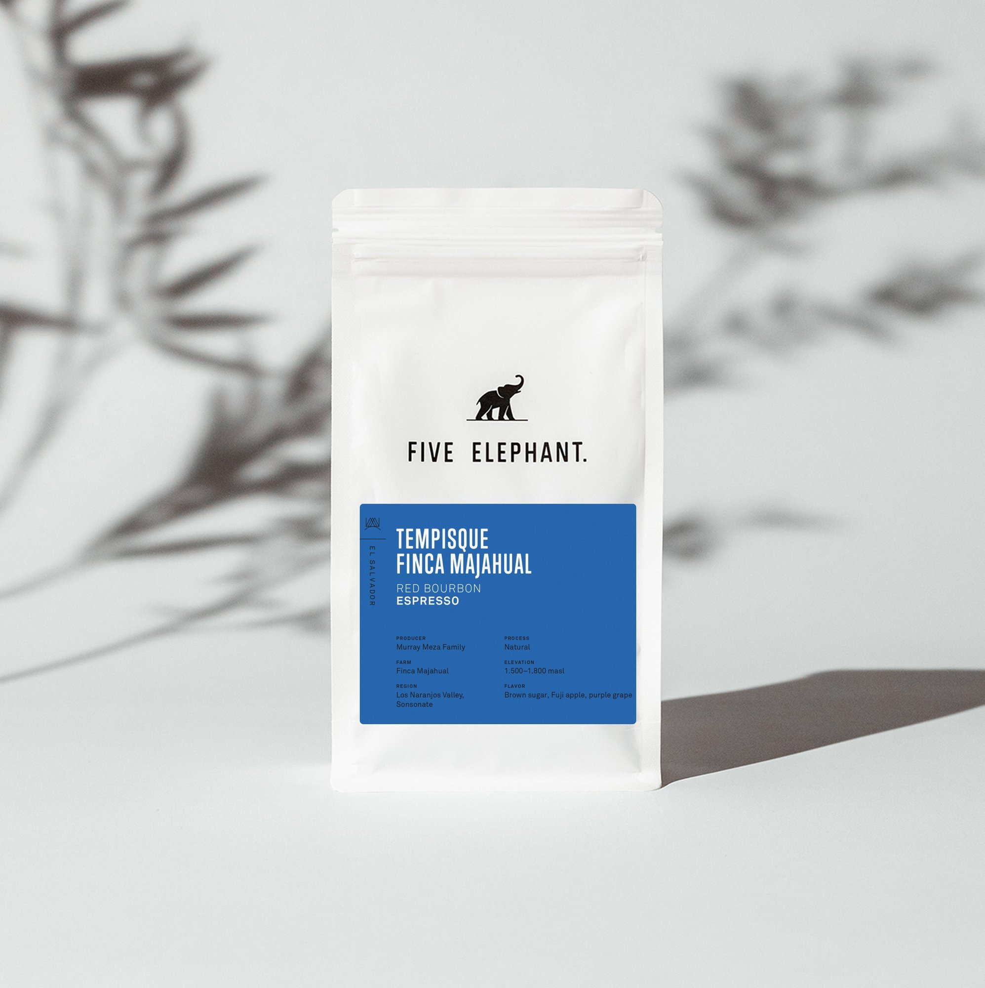 EL SALVADOR Tempisque Red Bourbon Natural – Espresso