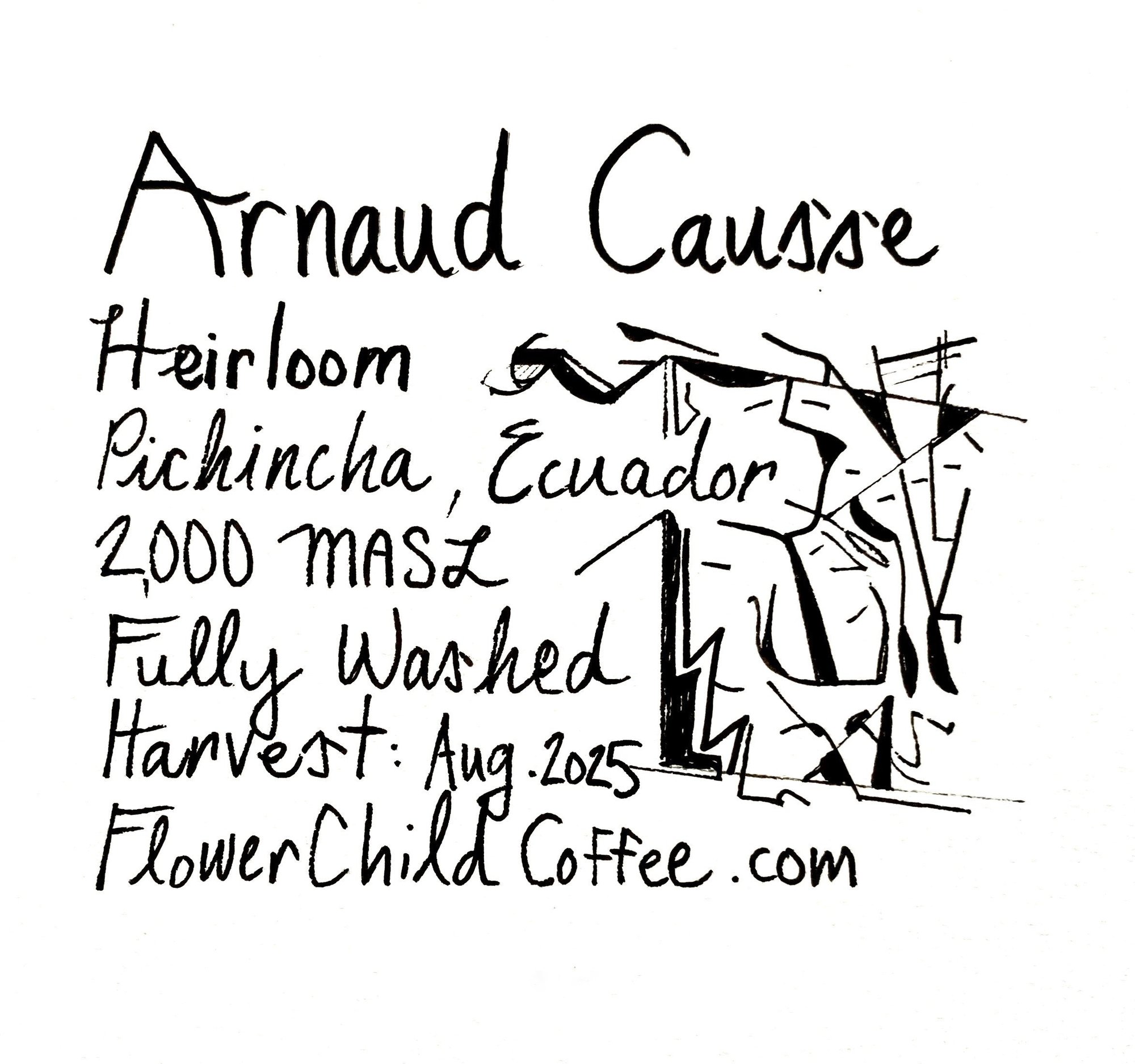 Arnaud Causse - Heirloom