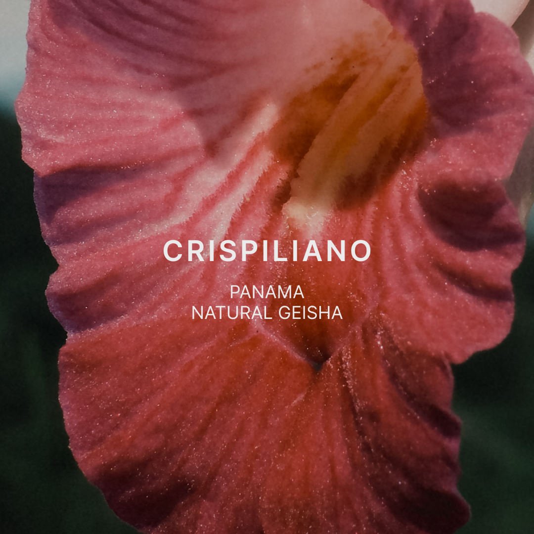 CRISPILIANO