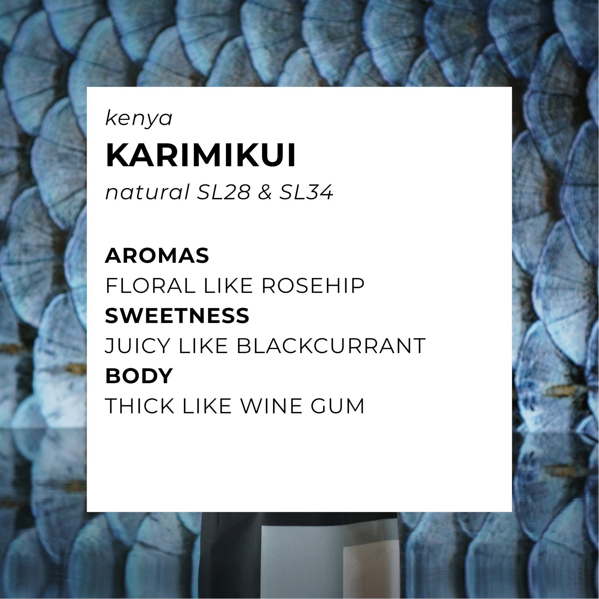 Karimikui