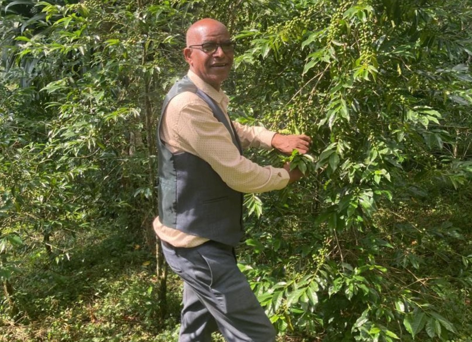 ’Ethiopia Wush Wush Natural