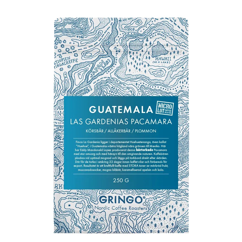 Guatemala Las Gardenias Pacamara