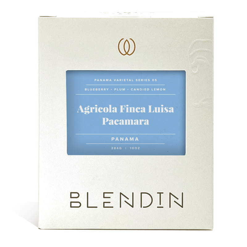Agricola Finca Luisa Pacamara