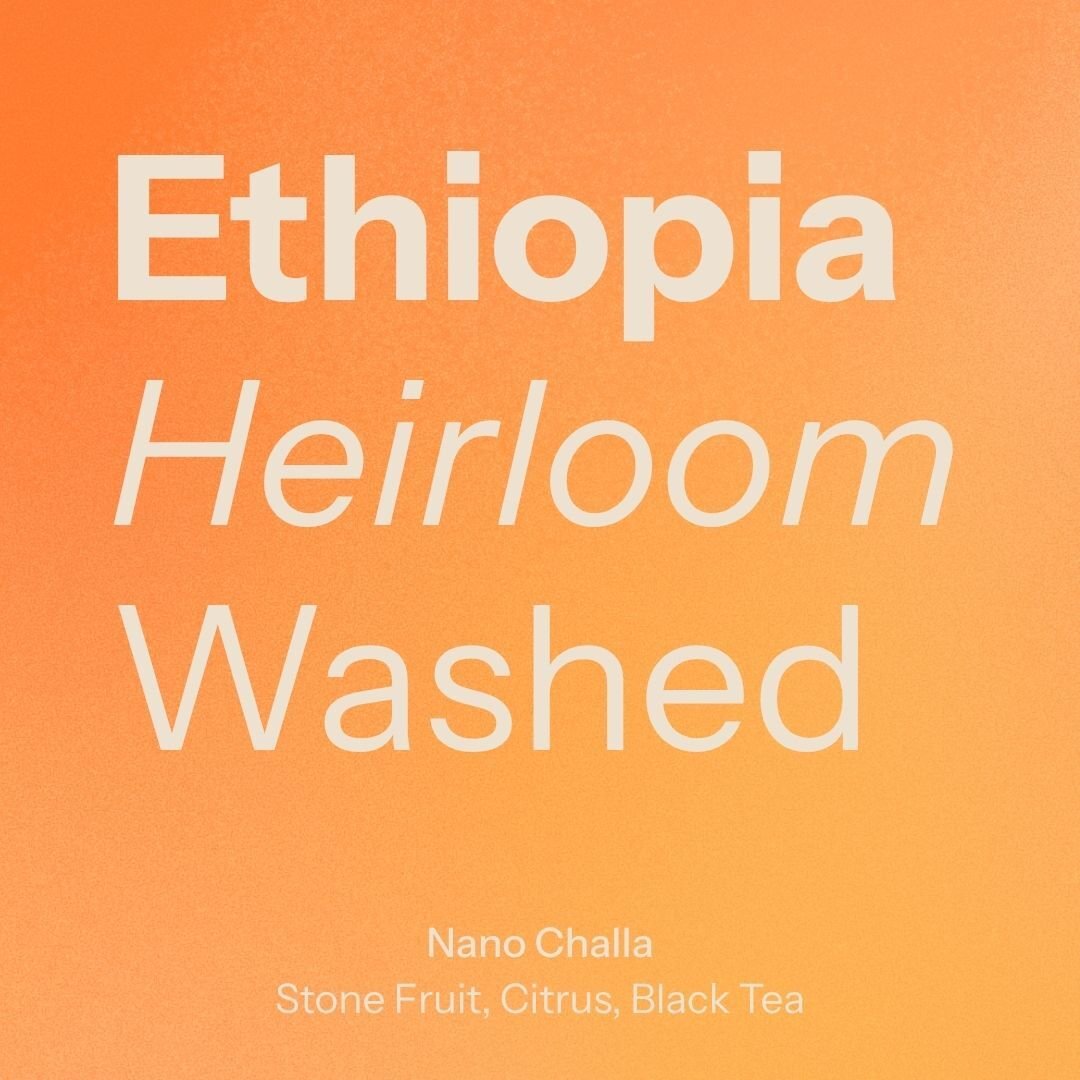 Nano Challa Co-Operative - Jimma (Ethiopia)