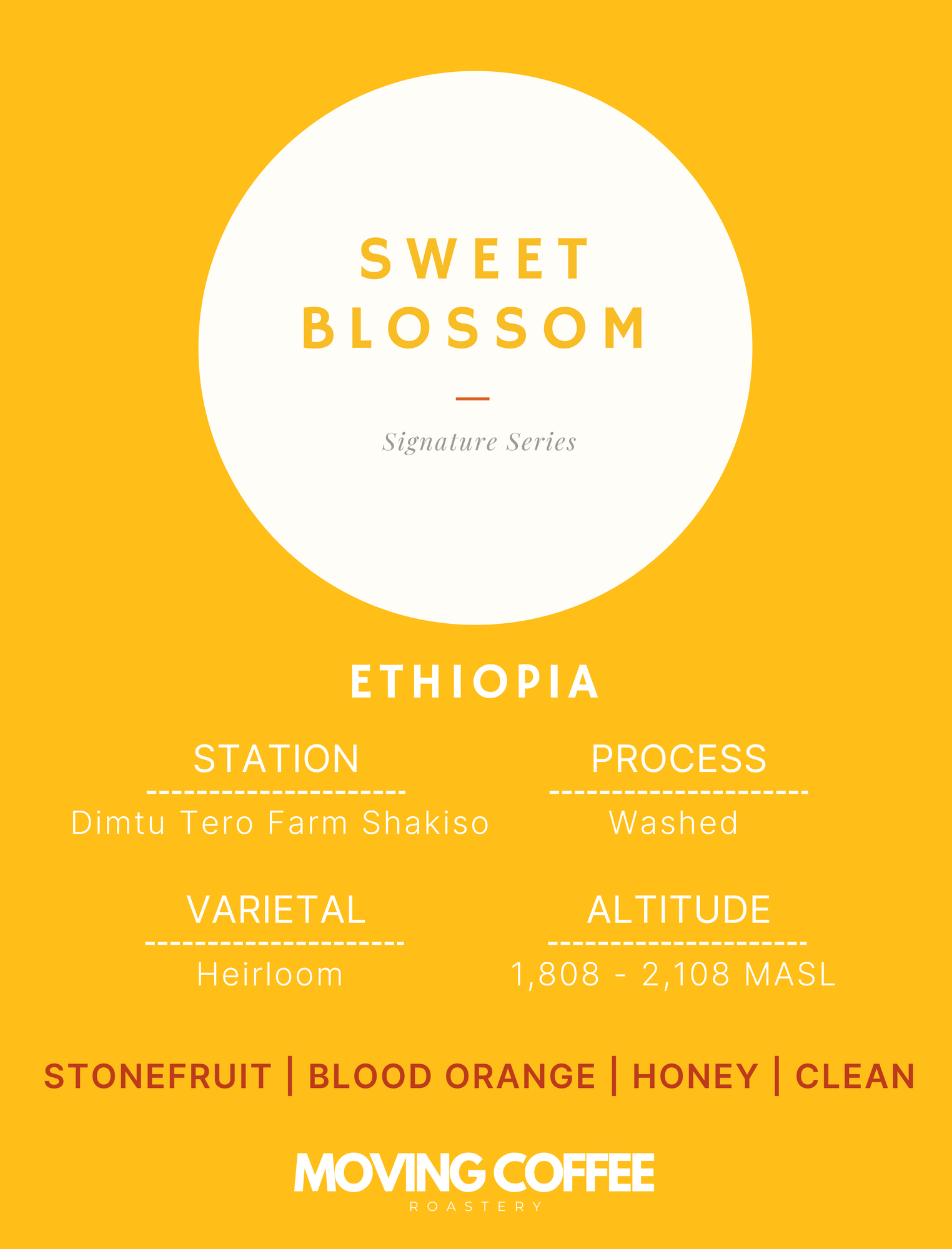 WS3 - Sweet Blossom
