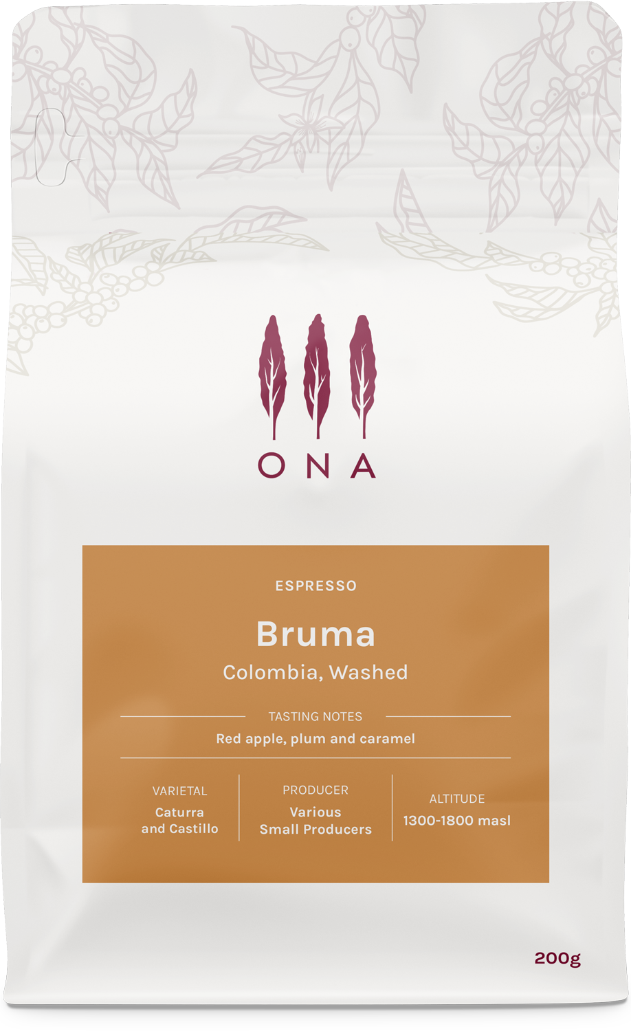 Bruma, Colombia, Washed