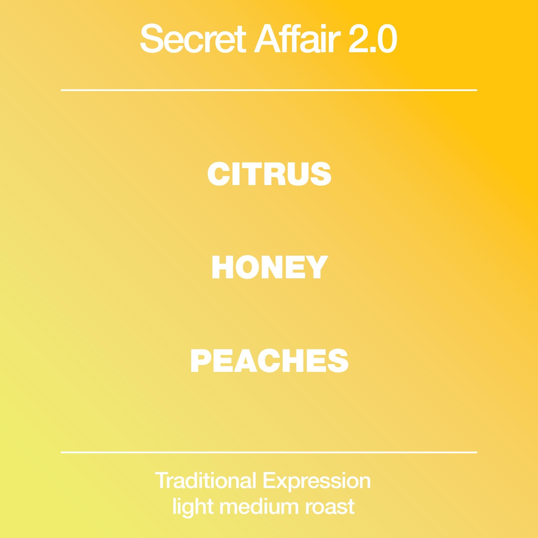 Secret Affair 2.0