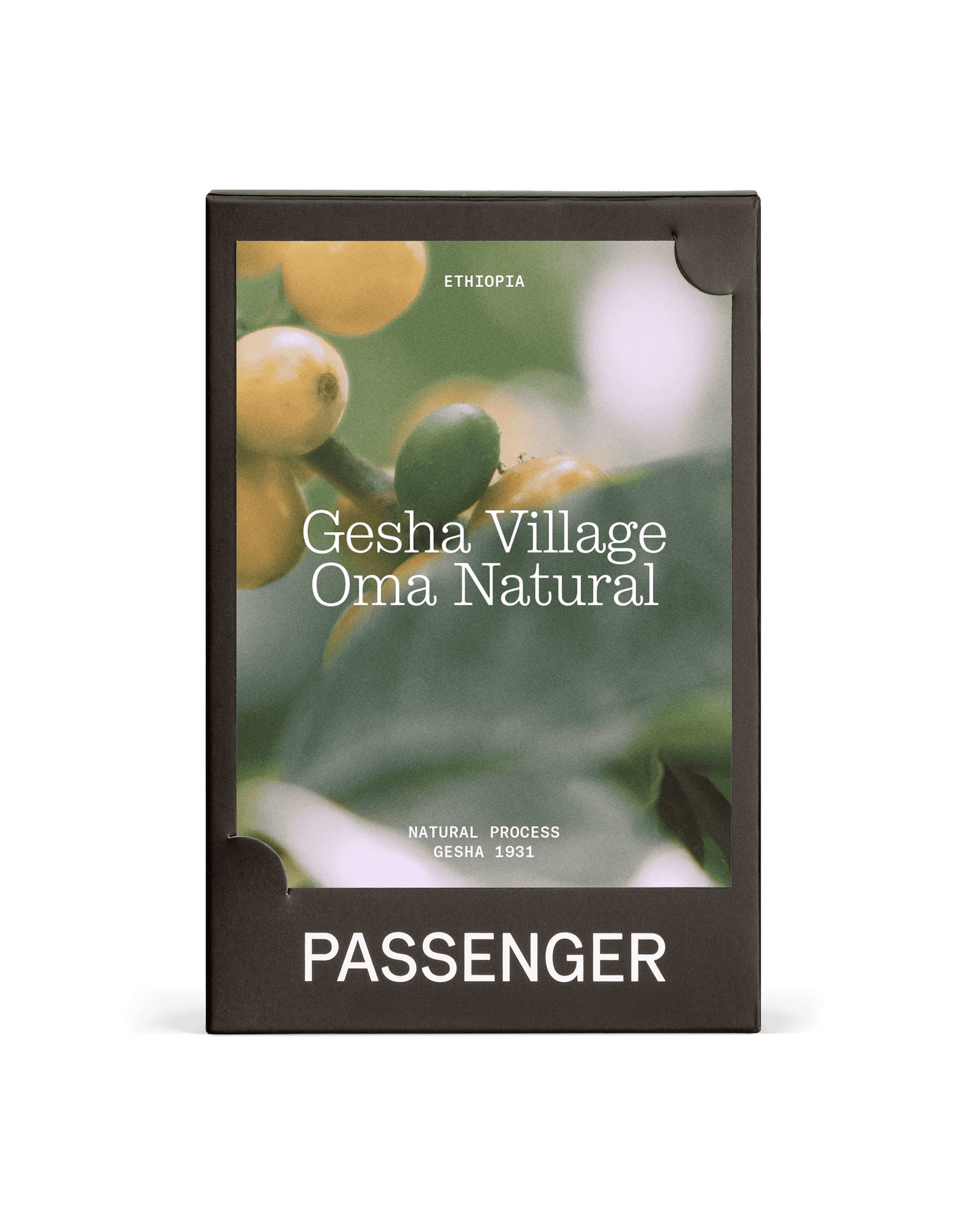 Gesha Village Oma - Natural Process - 2025