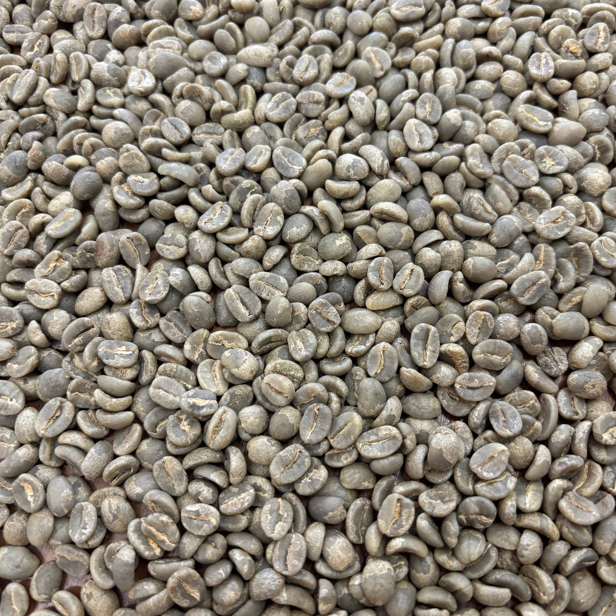 Muburi AB - Bulk Green