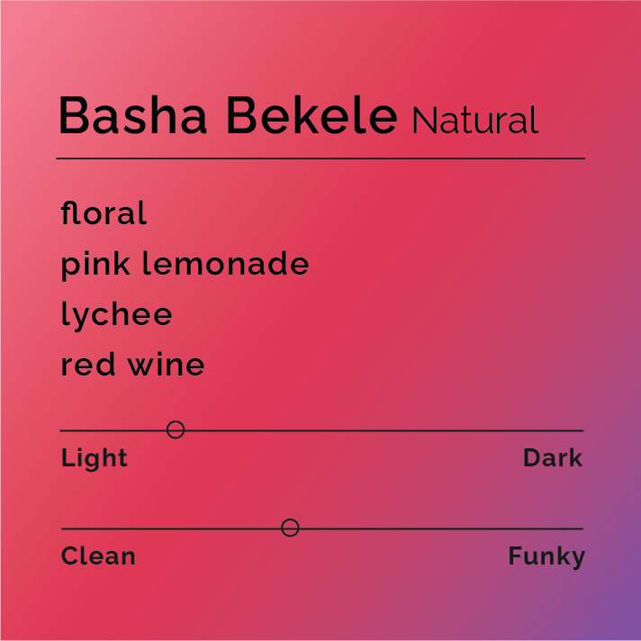 Basha Bekele Natural