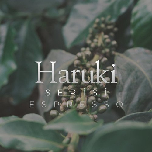 Haruki Espresso Serisi