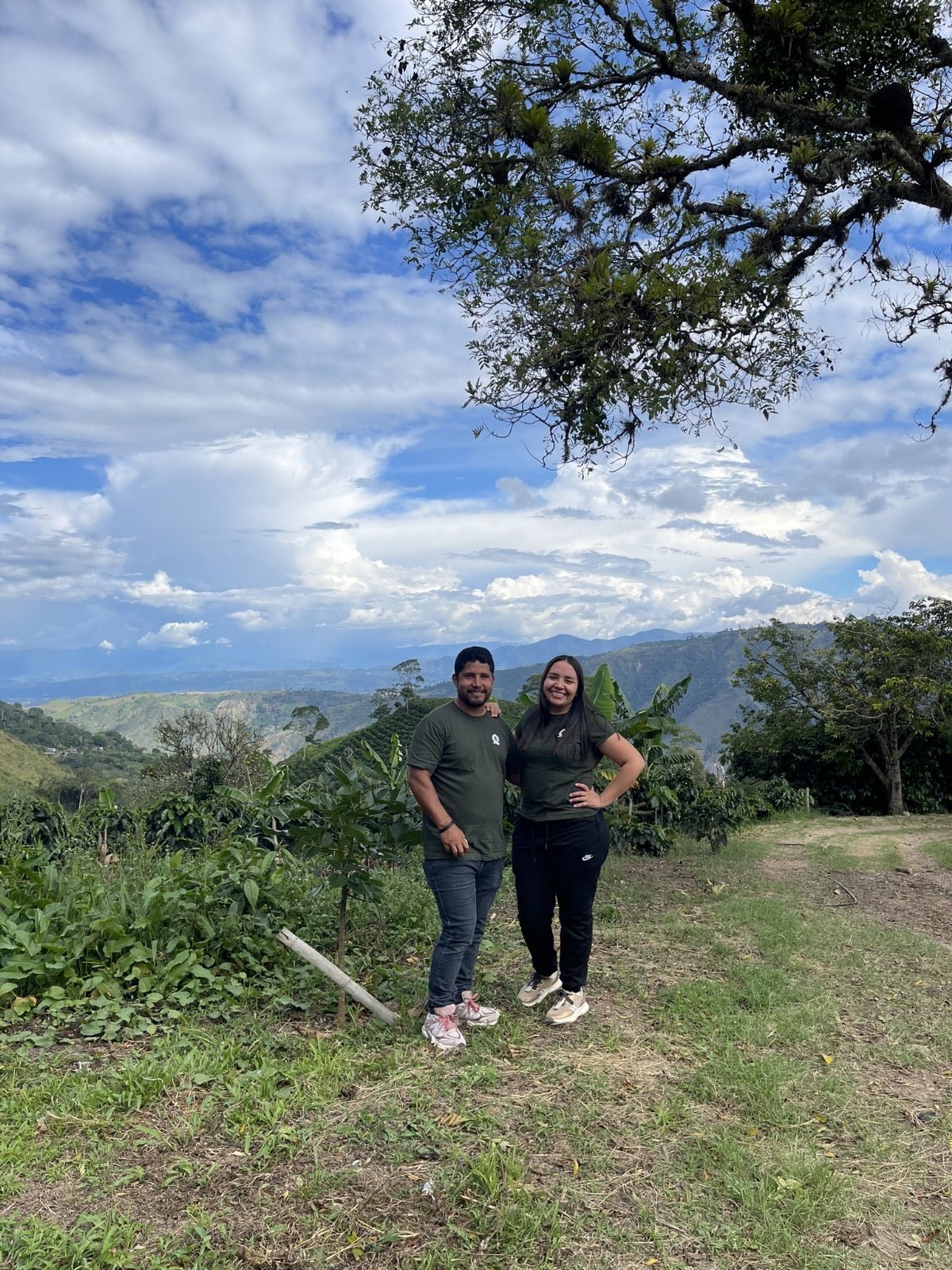 Colombia Edinson Argote Orange Bourbon GREEN