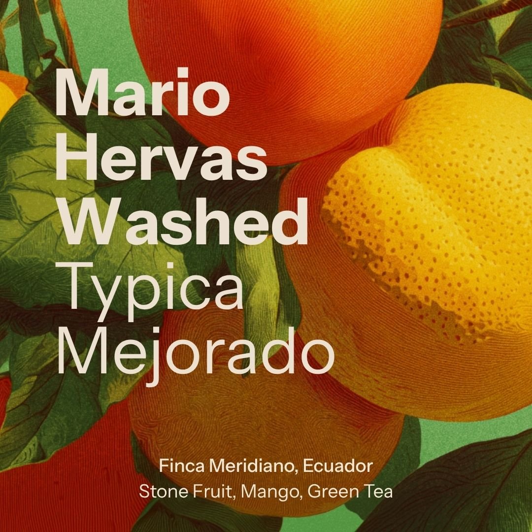 Finca El Meridiano - Mario Hervas (Ecuador)