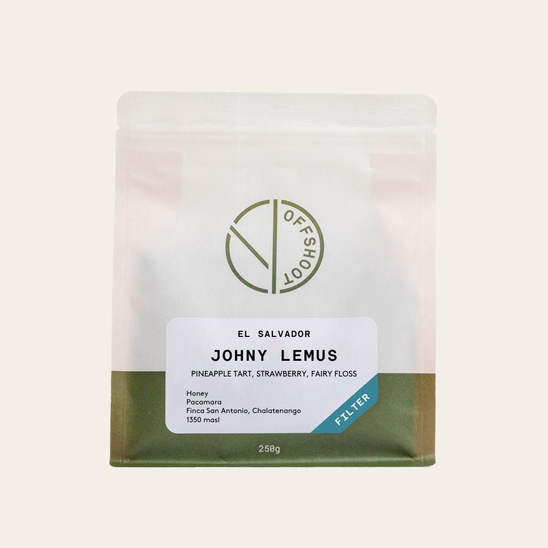 Johny Lemus