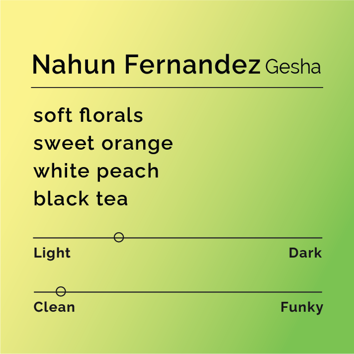 Nahun Fernandez - Gesha