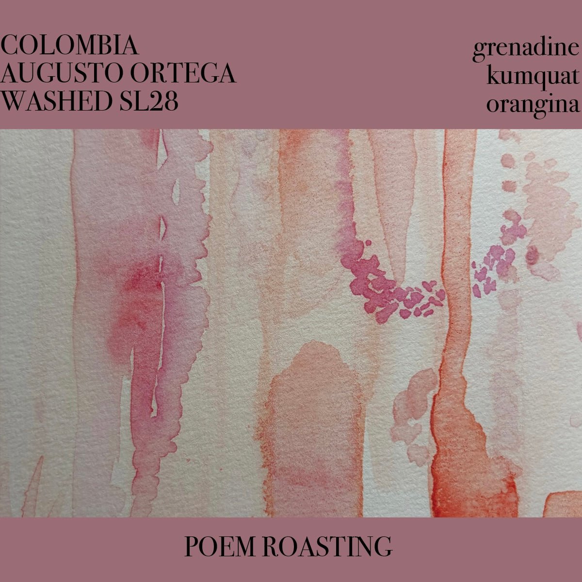 Colombia Augusto Ortega SL28