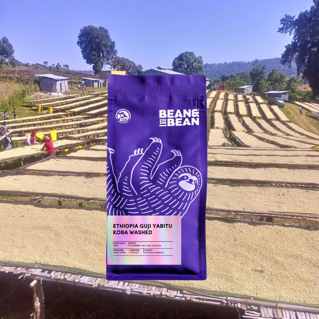 Ethiopia Guji Yabitu Koba Washed