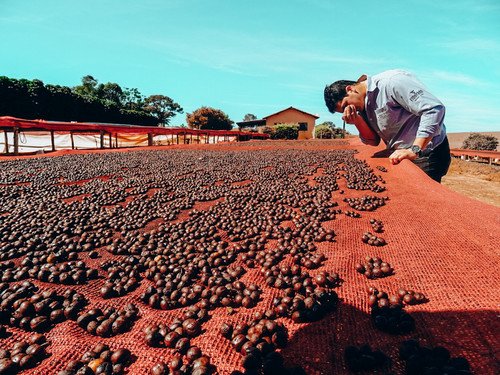Brazil Fazenda El Dorado