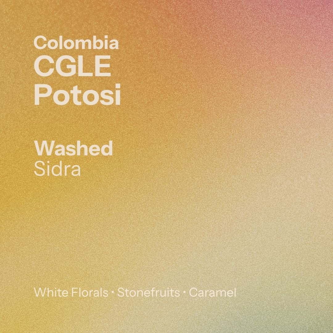 Finca Potosí - Cafe Granja La Esperanza (Colombia)