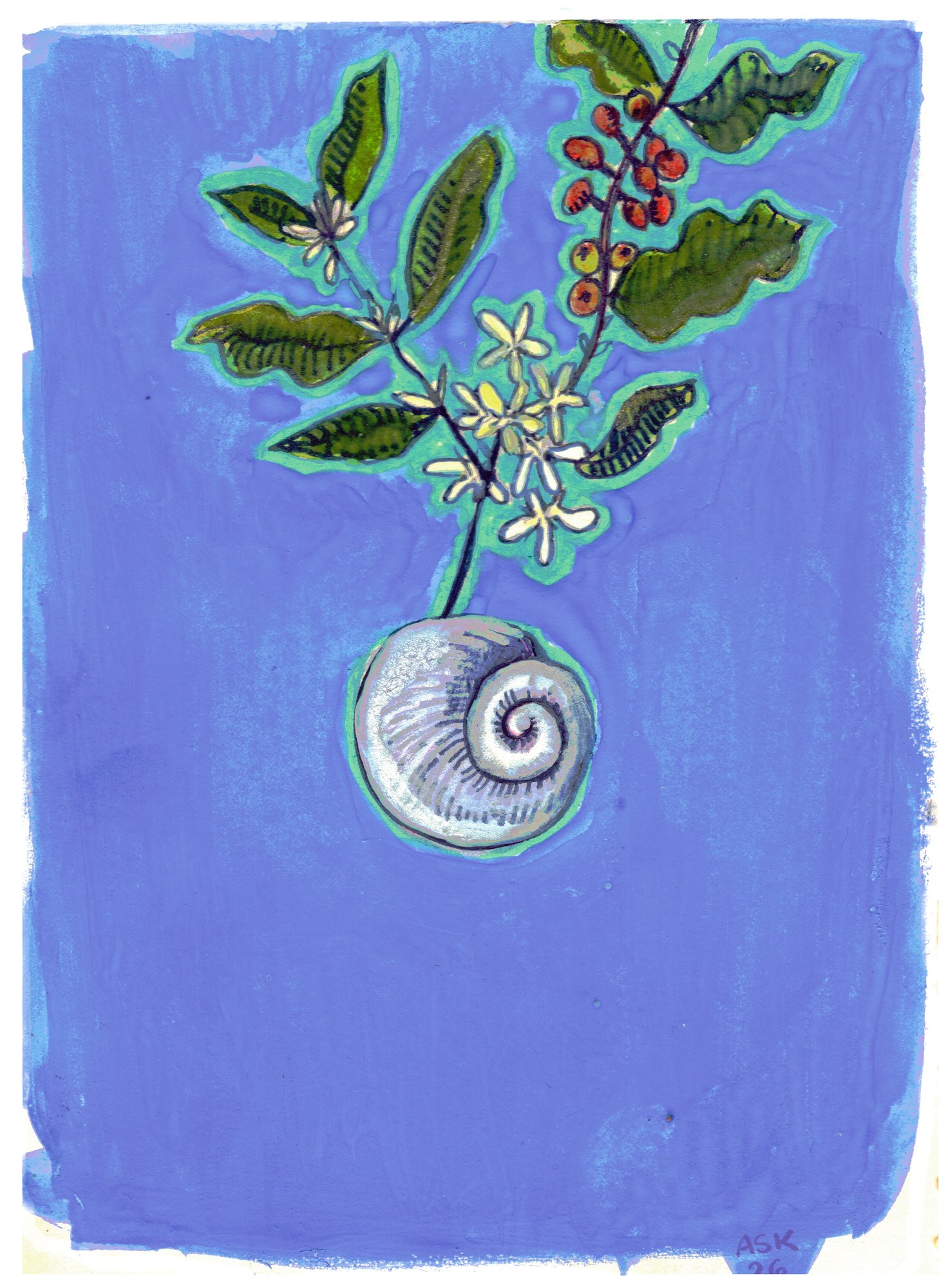 Moon Snail Dreams Of Arabica - Original