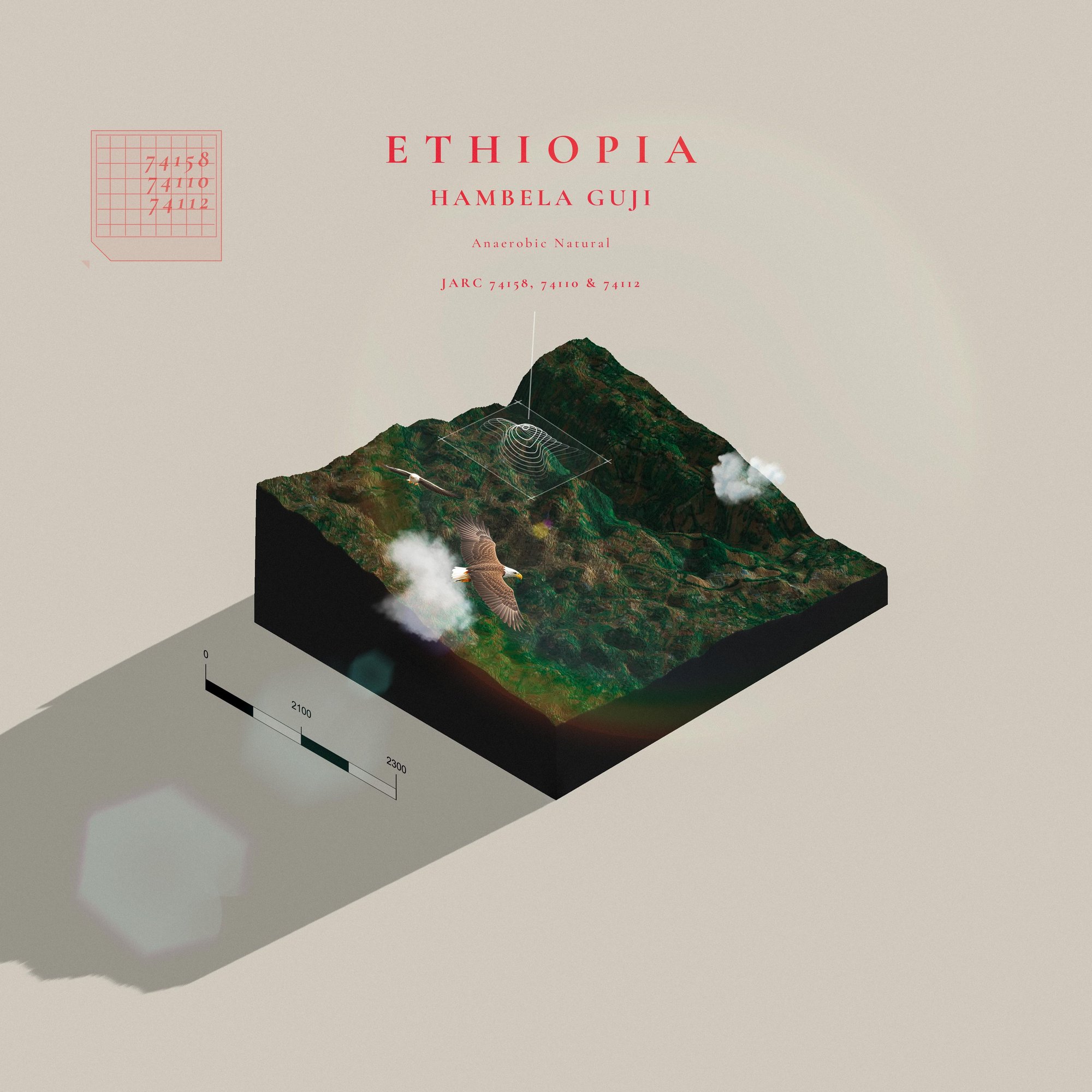 Ethiopia Hambela Anaerobic Natural | Guji | (Single Origin Filter)