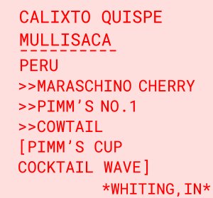 Calixto Quispe Mullisaca