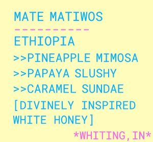 Mate Matiwos