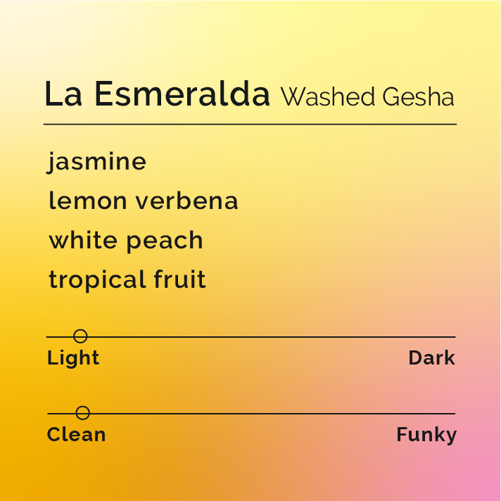 La Esmeralda - Washed Gesha