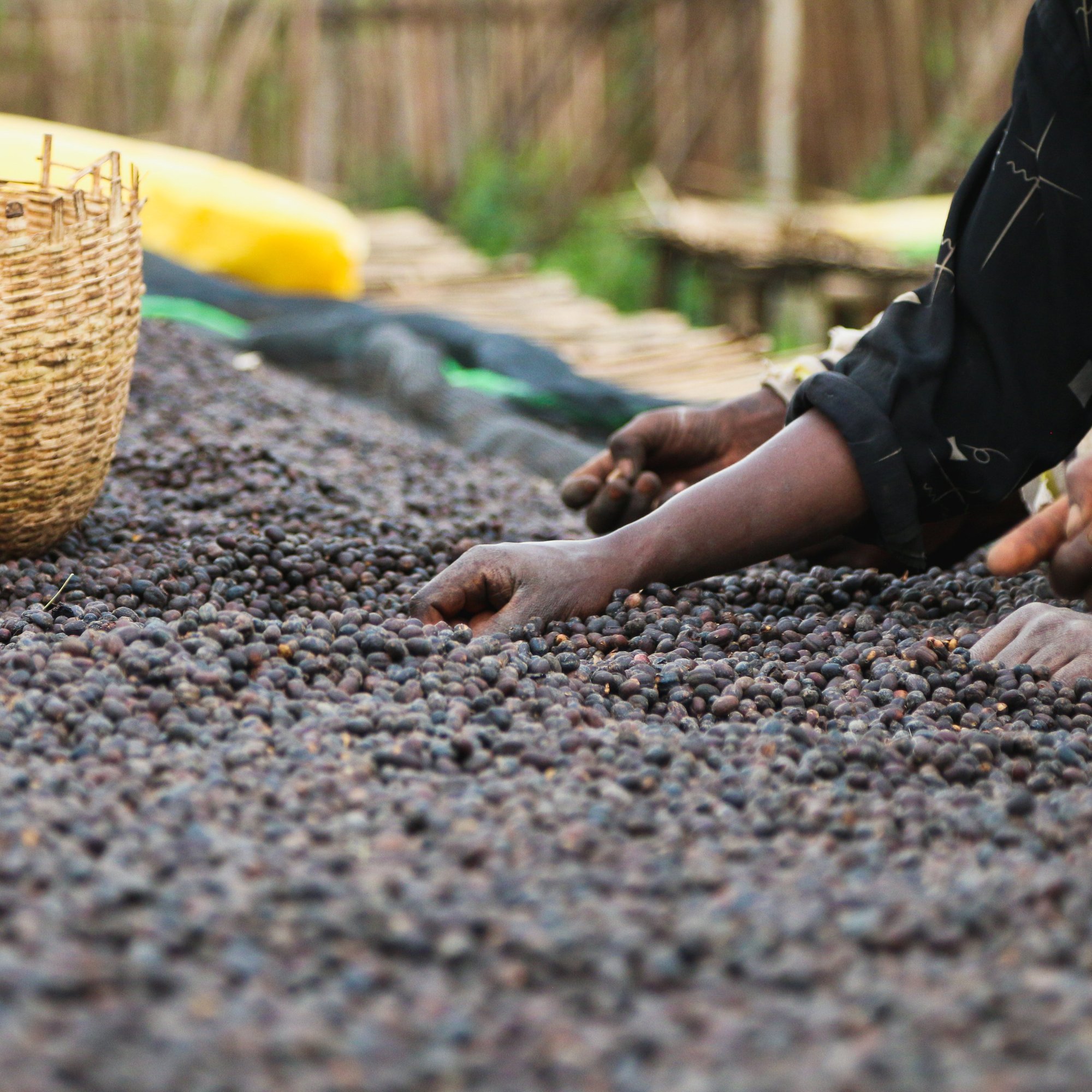 ’Ethiopia Arsosala