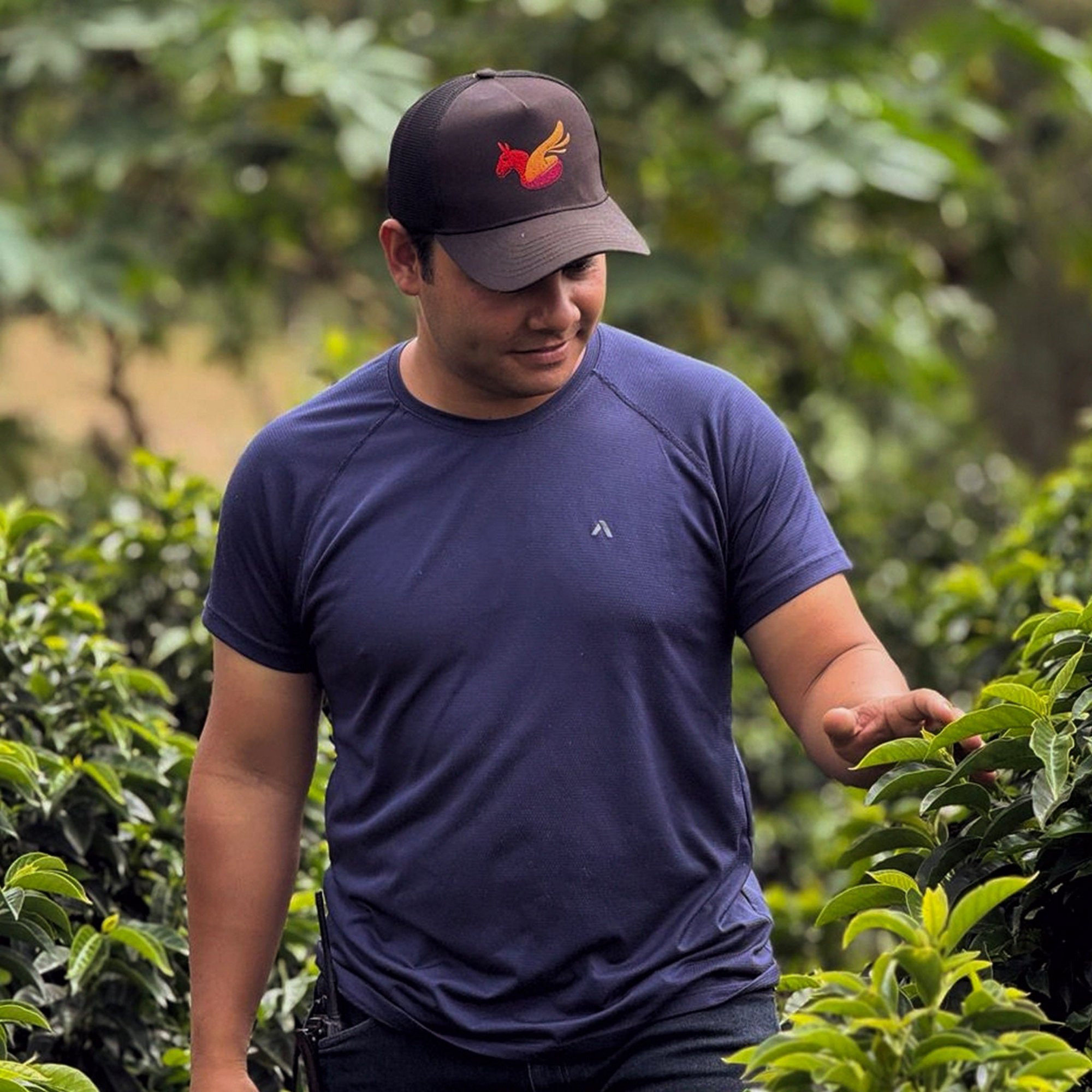 NOT BURNT YET - La Llanara - Café de Colombie