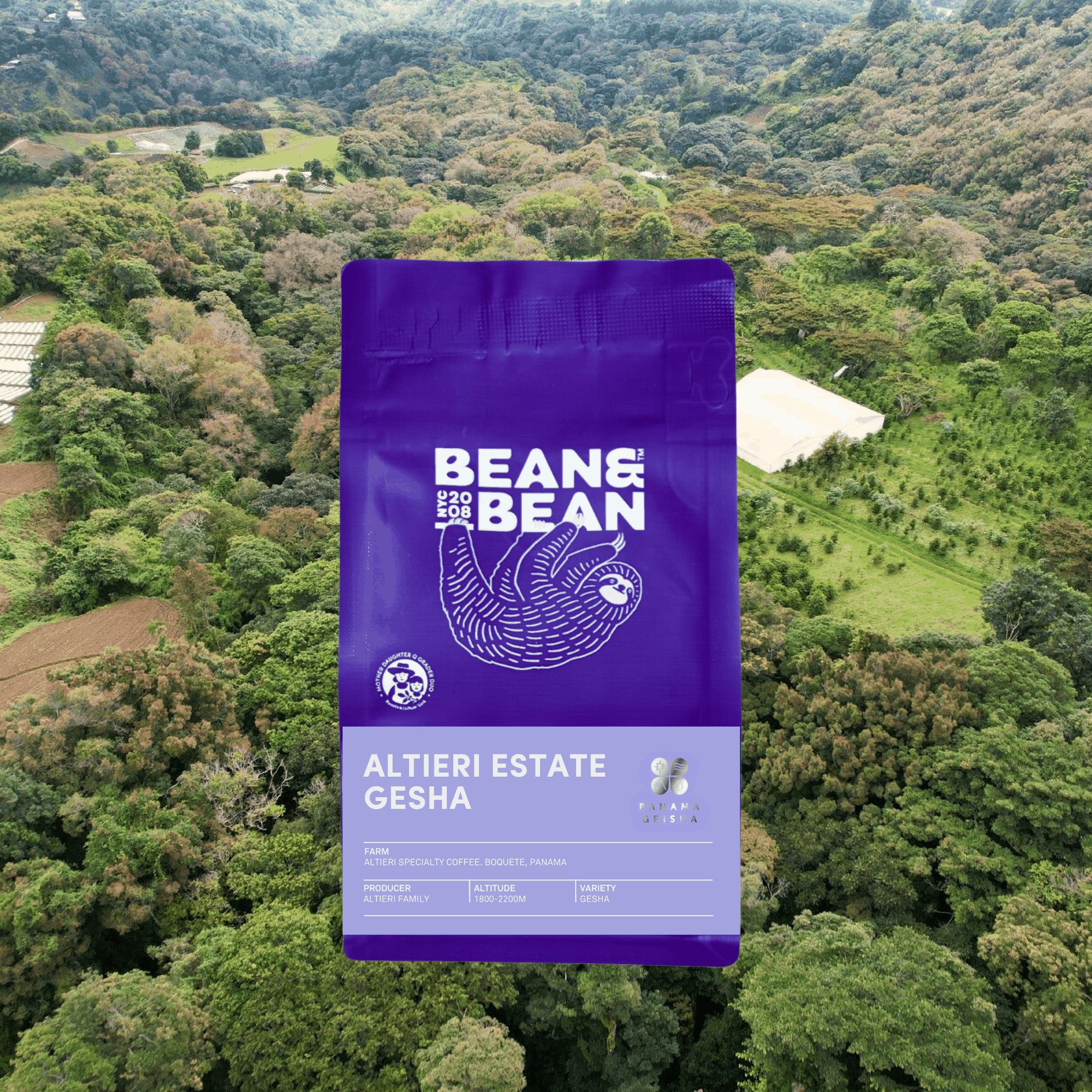 Altieri Chombi Mima Estate Gesha Natural [Score: 91.50]