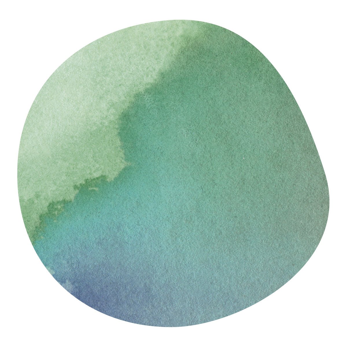 【Online shop 限定】JOSE JUNQUEIRA -Yellow Bourbon- / Brazil