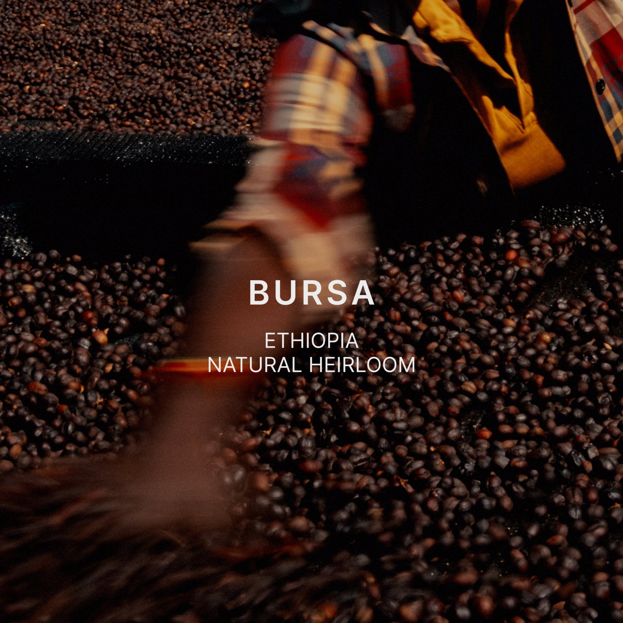 BURSA