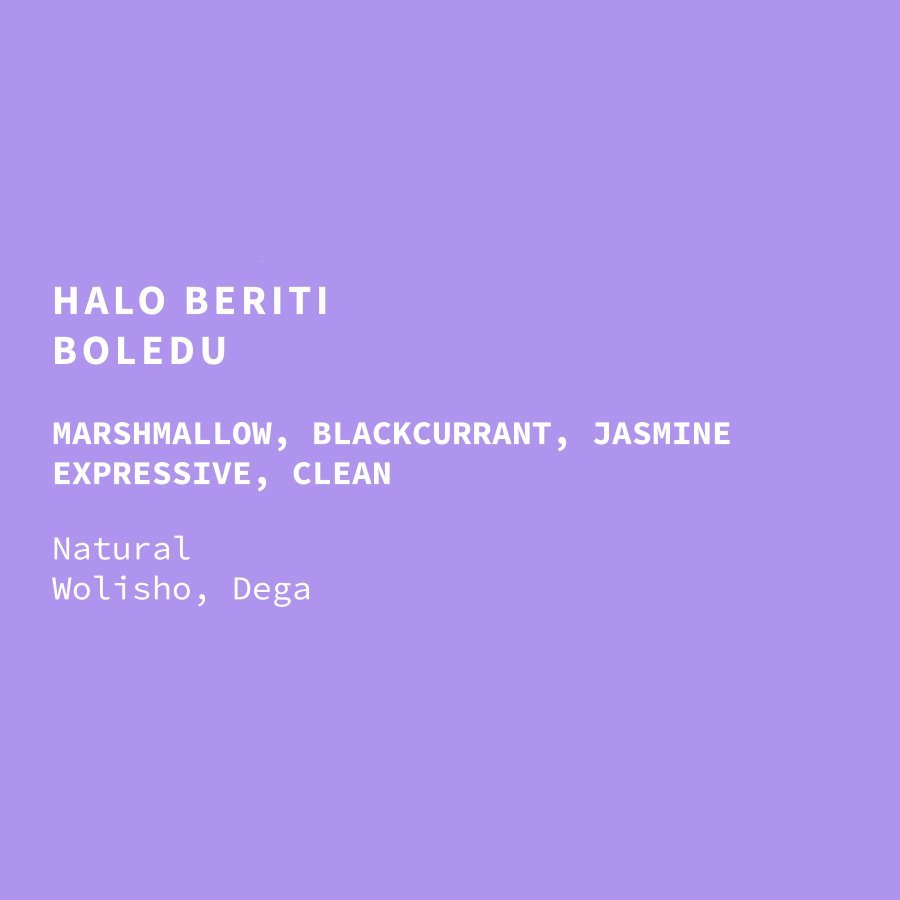 Ethiopia Halo Beriti Natural Gr1 Wolisho & Dega