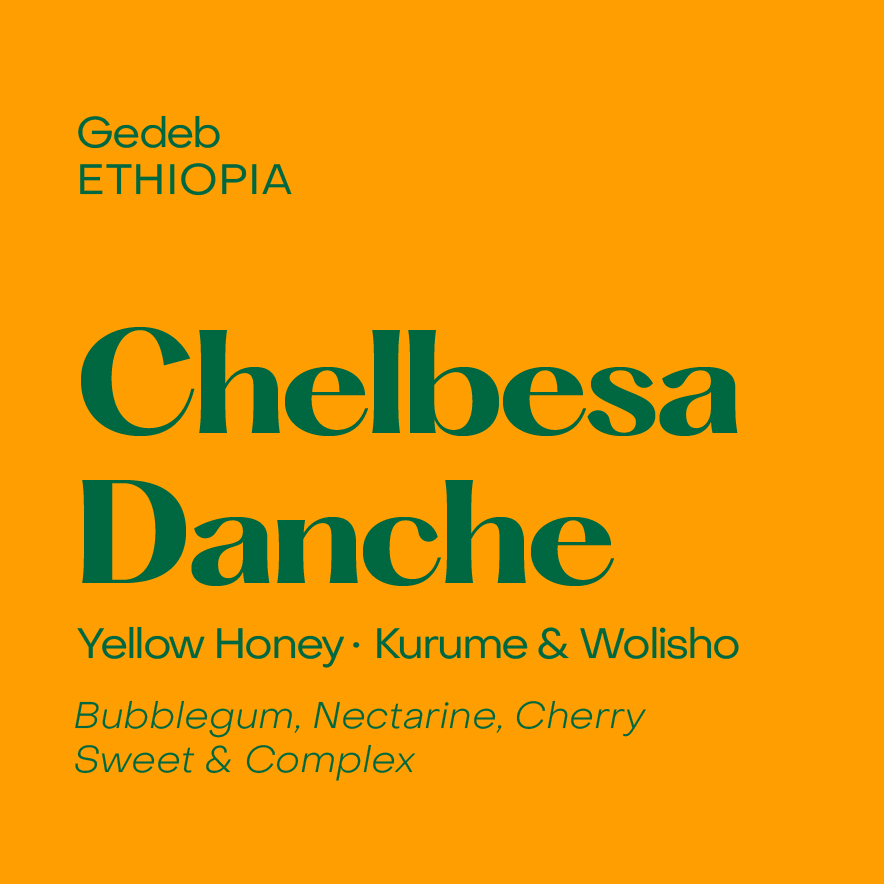 Chelbesa Danche, Ethiopia Yellow Honey Washed Kurume & Wolisho