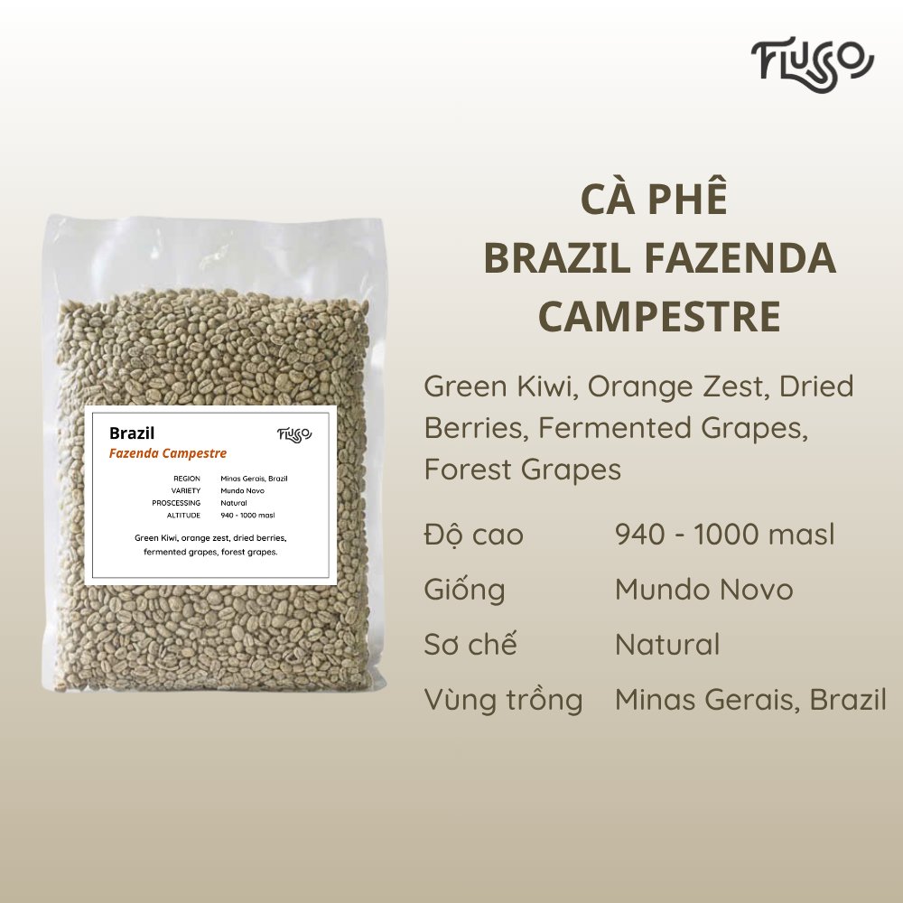 Brazil Fazenda Campestre (Green)