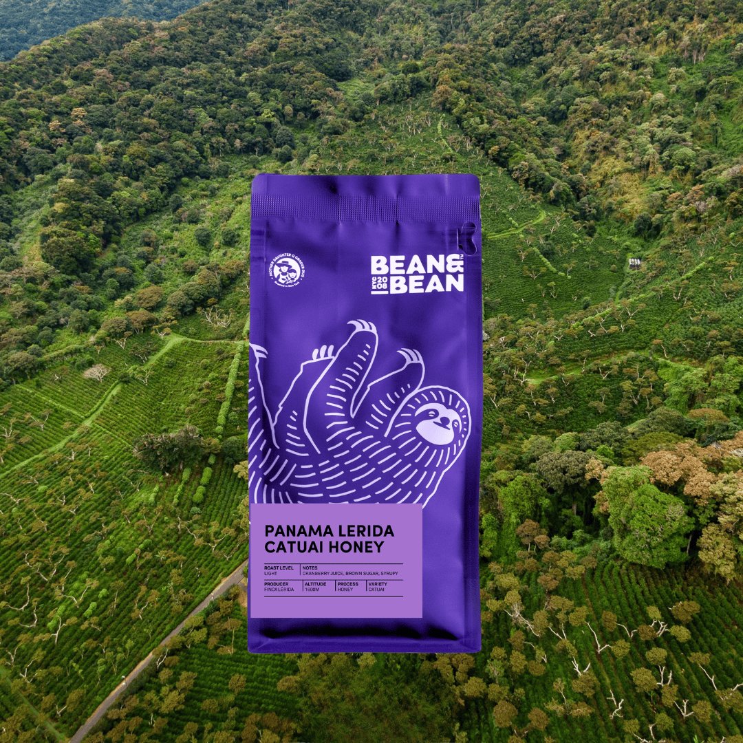 Panama Finca Lerida Catuai Honey