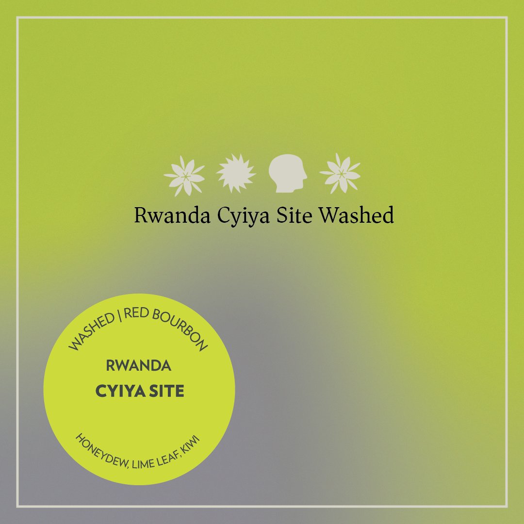 Rwanda - Cyiya Site - Washed Red Bourbon