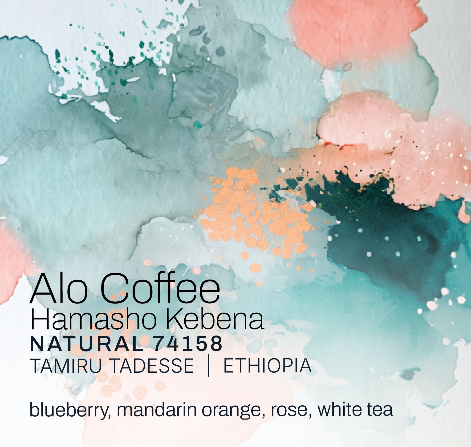 Alo Coffee Hamasho Kebena - Tamiru Tadesse - Natural 74158 - Ethiopia