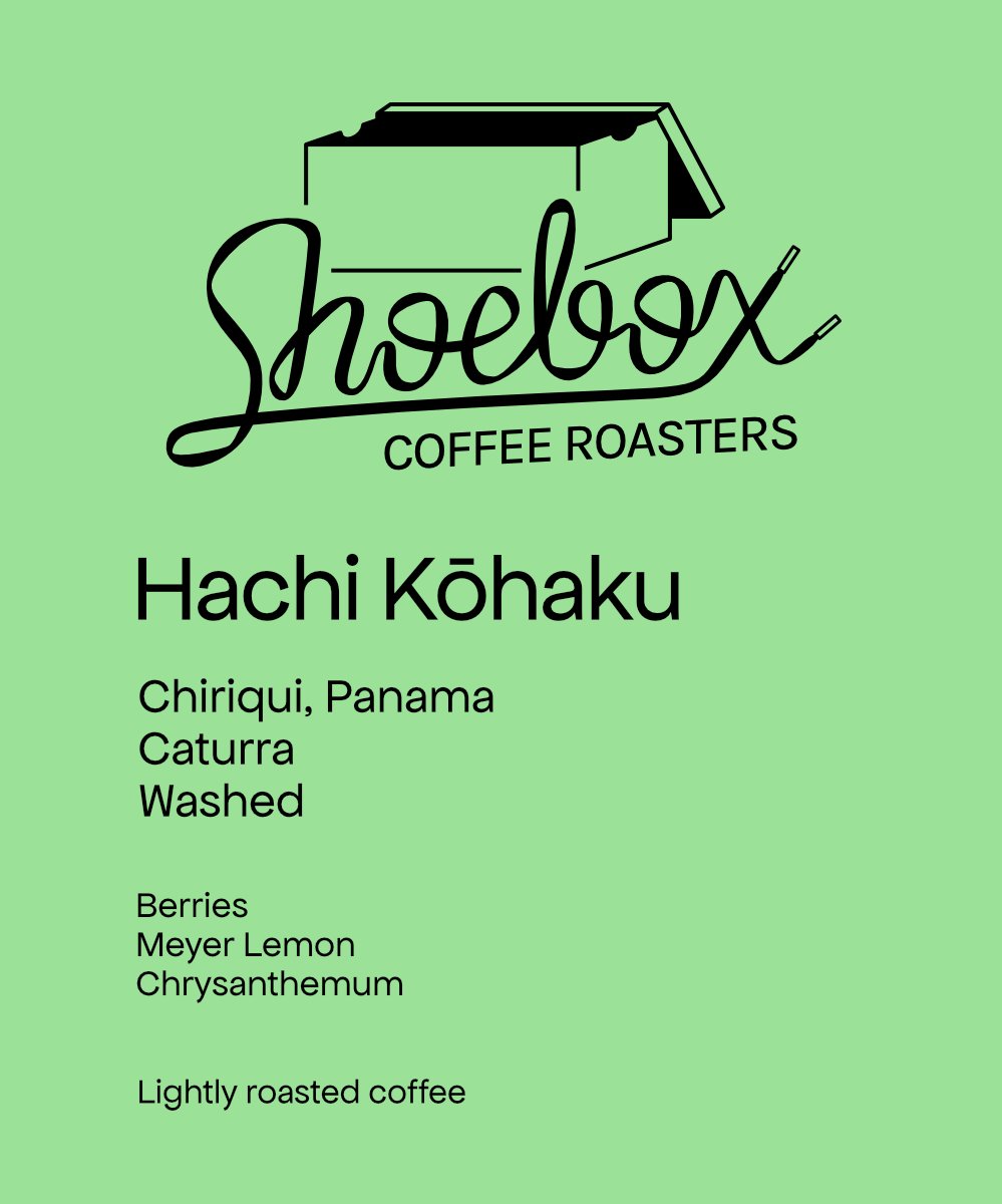 Panama Hachi Kōhaku Caturra Washed