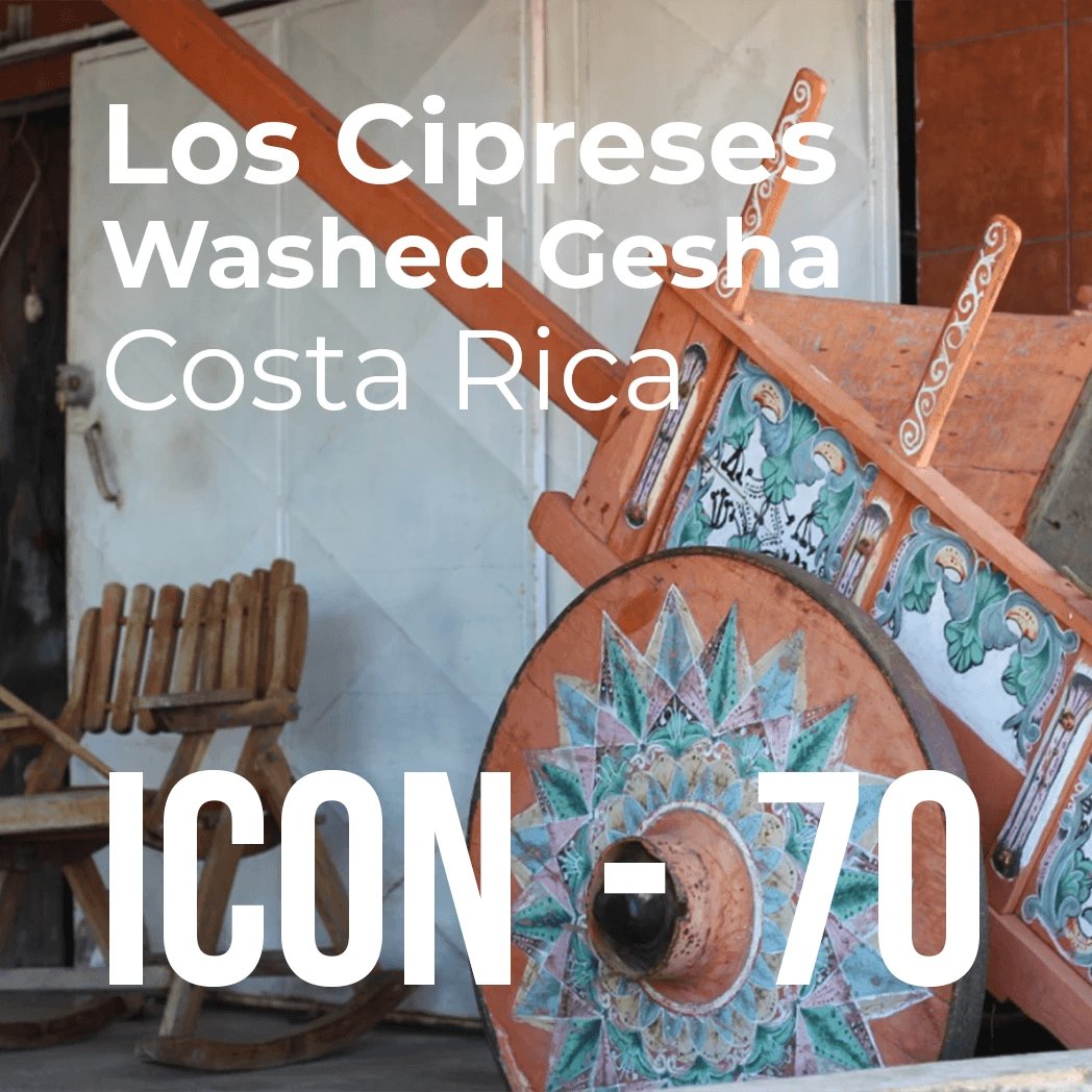 ICON 70 - Los Cipreses, Washed Gesha