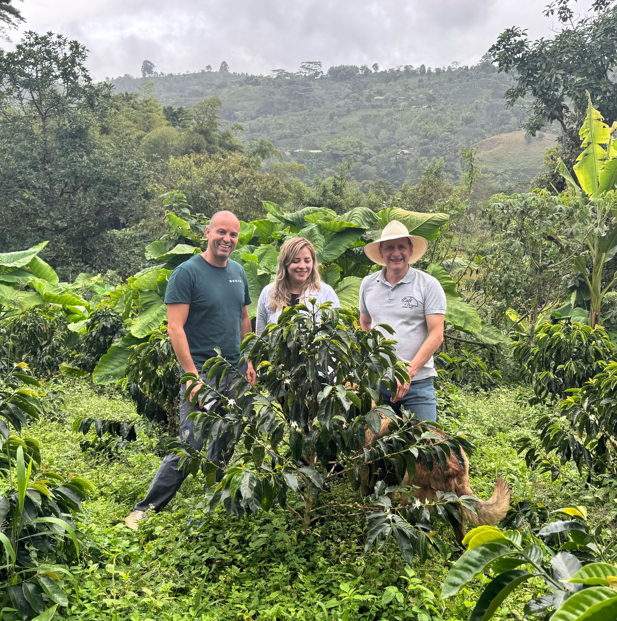 Finca Betania - Café de Colombie