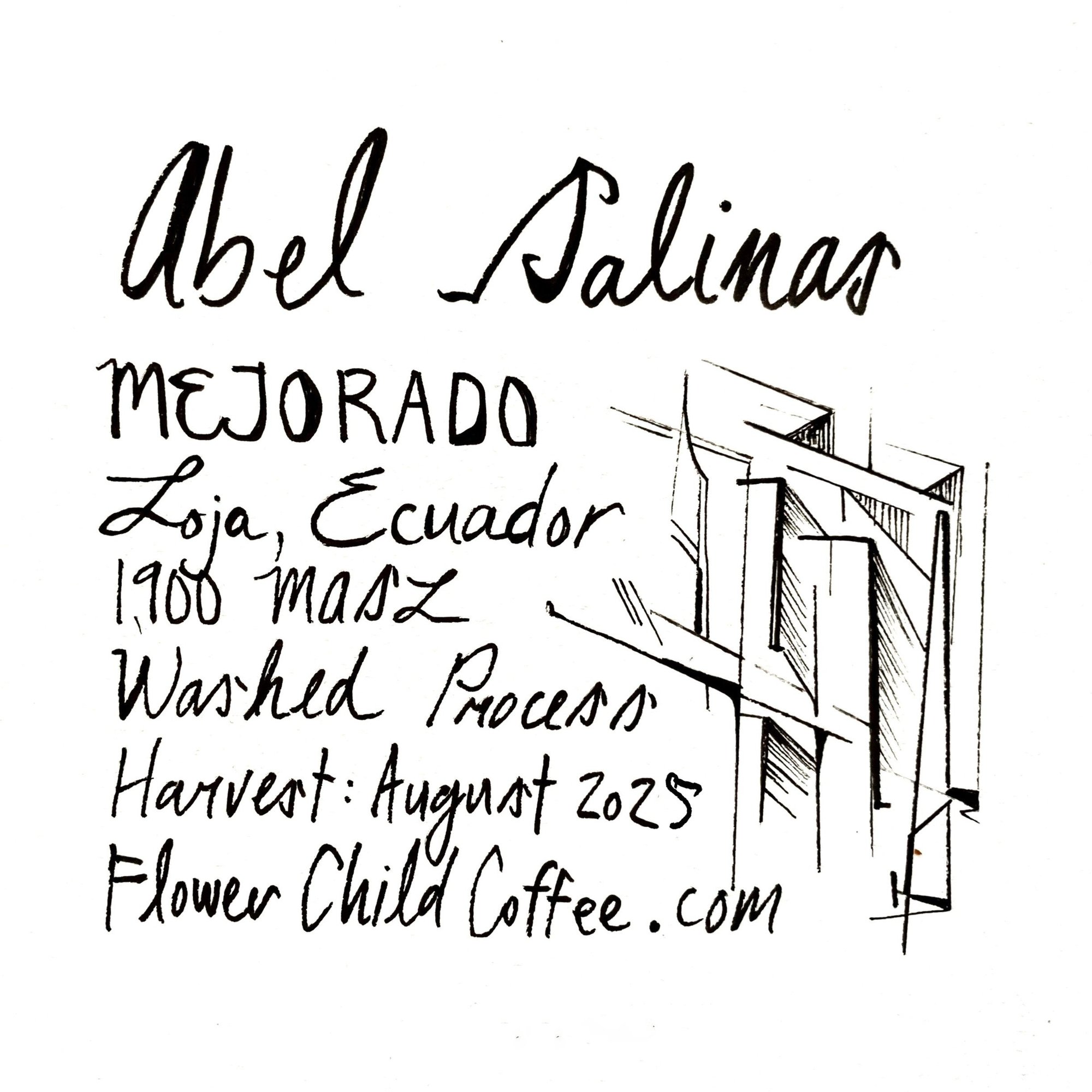 Abel Salinas - Mejorado
