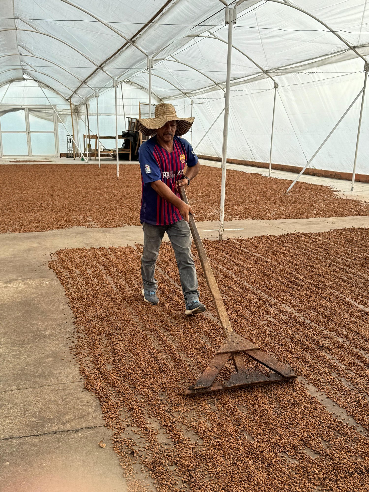 Colombia Campo Hermoso Sidra CM Washed ESPRESSO
